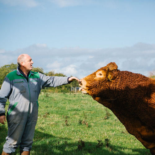 Découvrez notre viande bio !